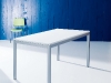 diesis 004